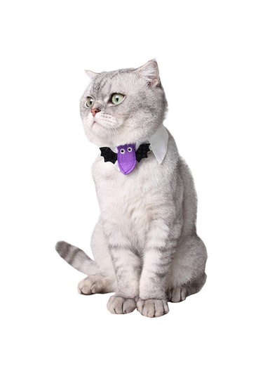 Homyl 2 Adet Pet Papyon Köpek Kedi Ayarlanabilir Boyun Kravat Camgöbeği