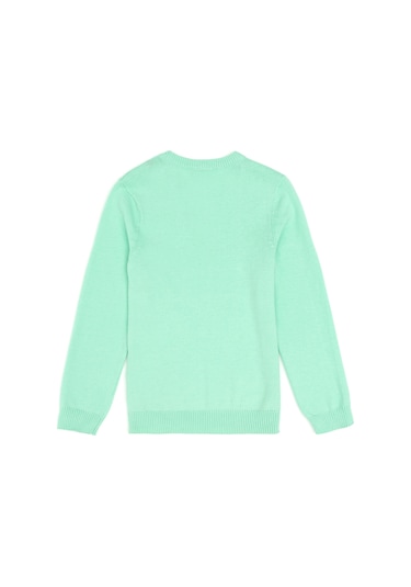 U.s. Polo Assn. Erkek Çocuk Mint Kazak /triko 50294200-vr090 Mint