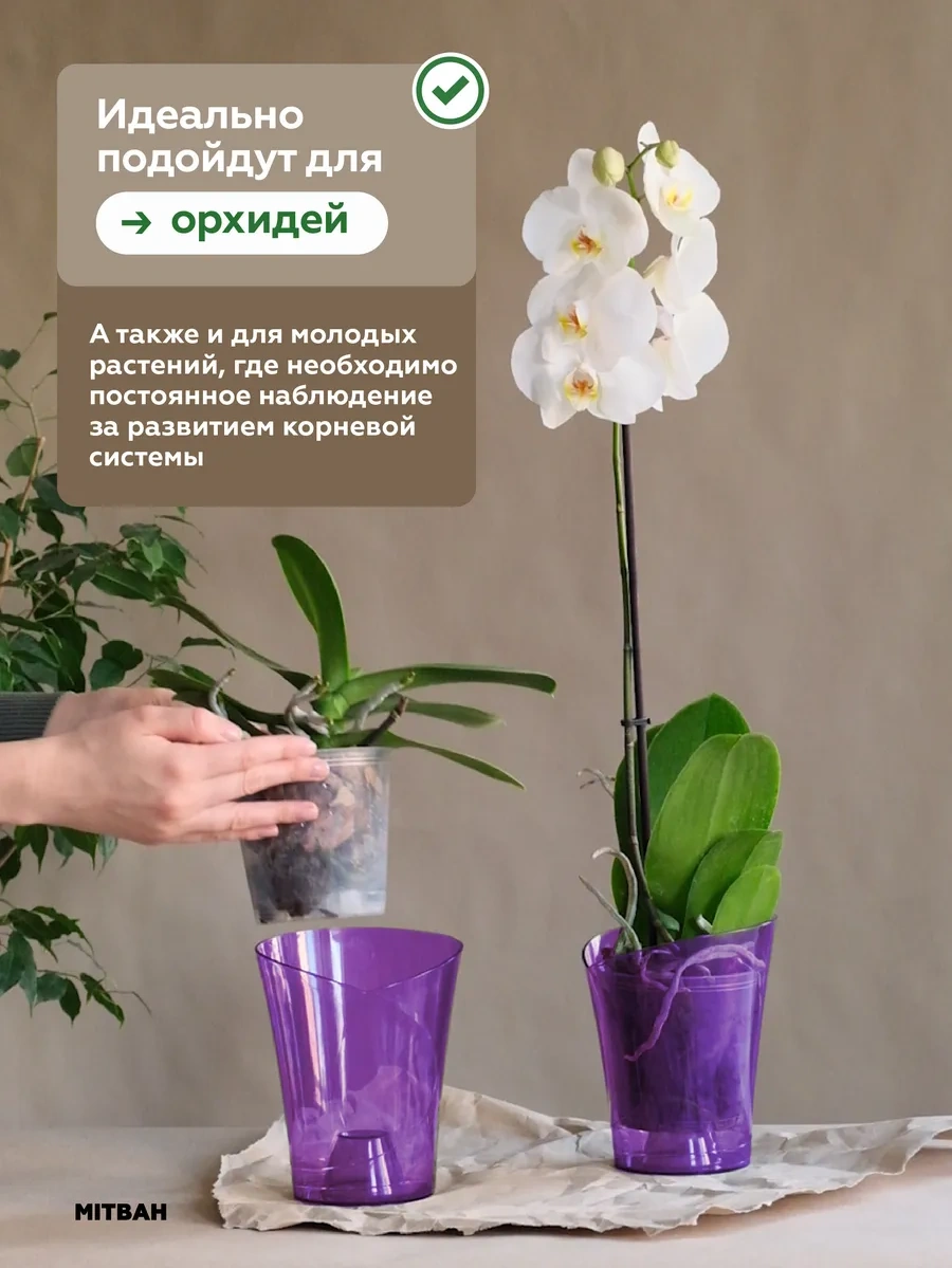 Mıtbah Şeffaf Saksıda Orkide Saksısı 2 Adet 74247174