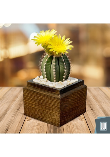 Kaf Ahşap Dekoratif Mini Saksı / Küp / Kahverengi