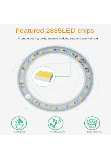 Kırmızı & Mavi Tam Spektrum Led Büyüyen Işık İç Mekan Bitkileri, Yüksekliği Ayar Melek Halkası Otomatik Led Aydınlatmalar 56853001