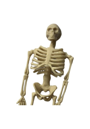 Homyl Cadılar Bayramı İskelet Figürleri Kafatası Heykelleri 14cm