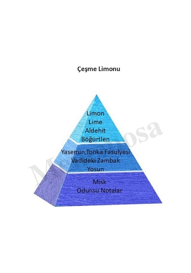 Bargello Çeşme Limonu 50 Ml Plastik Dökme Kolonya Edc