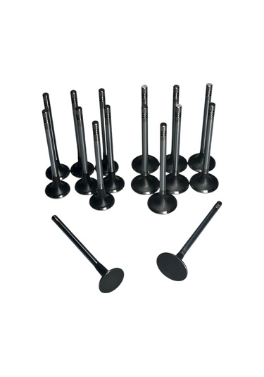 Chevrolet Epica 2.0 Dizel Motor C 100 Subap Takımı İoto Marka 11602-12601