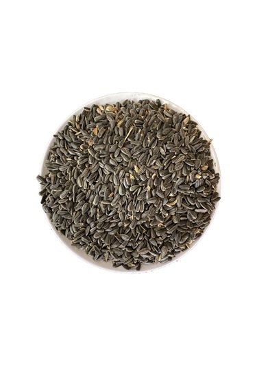 10 Kg Siyah Küçük Çekirdek