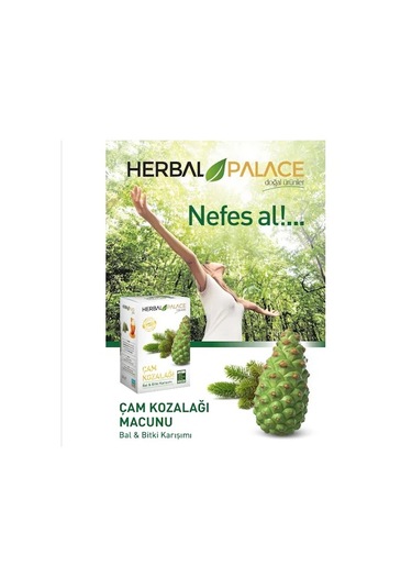 Herbal Palace Çam Kozalağı Macunu 240Gr X 2 Adet
