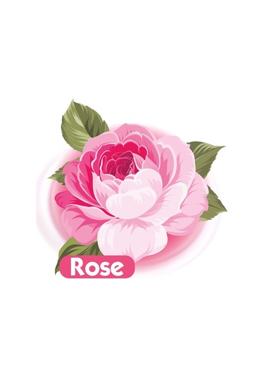 Baby Turco Islak Havlu Mendil 90 Yaprak Gül/Rose 6 Lı Set 540 Yaprak