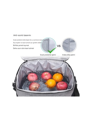 Dinosaurs Lifee Taşınabilir Piknik Çantası Termal Yalıtımlı Gıda Konteyner Soğutucu Çanta Açık Kırmızı Kırmızı Şarap Için Altın