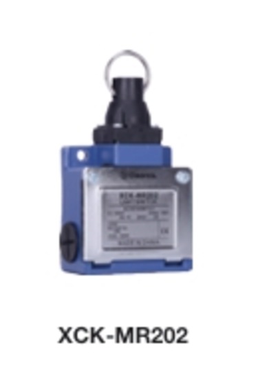 Deerco Xckmr202 Metal Halka Emniyet Switch