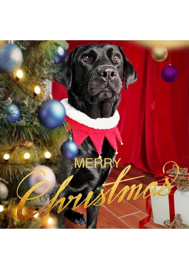 Elmpaly Koyu Yeşil S Küçük Ve Büyük Köpek Ve Kedi İçin El Yapımı Polar Kaplama Yün Atkı