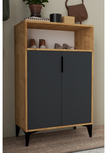 1204 Ada Ayakkabılık 4 Raflı 2 Kapaklı Çok Amaçlı Dolap Antrasit Safir Antrasit Safir