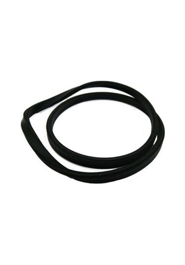 Dolphin C-700 C-1000 Dış Filtre Kafa Contası