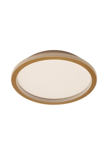 Triolux Led Avize Plafonyer Basıs TR2A001 Ø30 CM