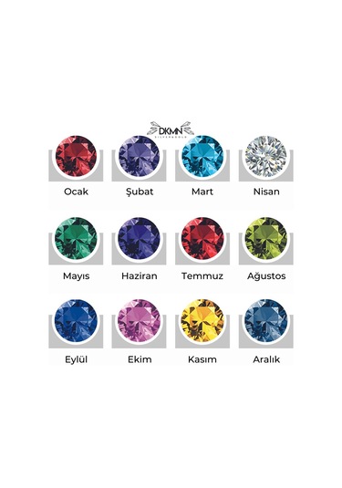 Dkmn Gümüş Kalp Şekilli Harfli ve Doğum Taşlı 925 Ayar Gümüş Kolye