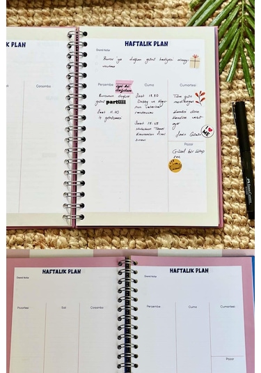 Kedi Noodle Tasarımlı Spiralli Sticker'lı Tarihsiz Konuşan Ajanda Haftalık Planlayıcı Defter renkli