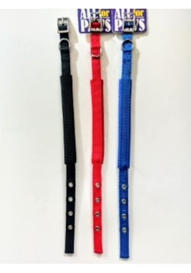 Wonderfullpet Köpek Boyun Tasması 2.0x43 CM