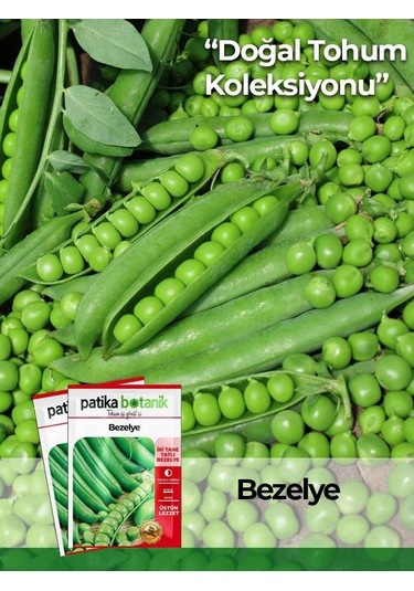 Bezelye Tohumu Utrillo, Araka 50 Adet Taze