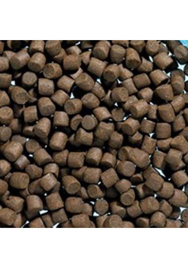 Dip Balık Yemi 6mm 100gram