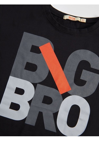 Denokids Mushi Big Bro Erkek Çocuk Şort Takım Çok Renkli