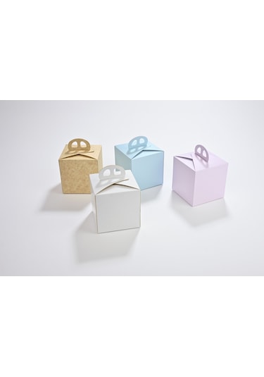 Pasta Kabı Pembe-mavi 10 X 10 Cm 25 Adet