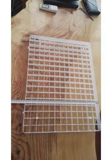 221lı Bıldırcın Gelişim viyolu