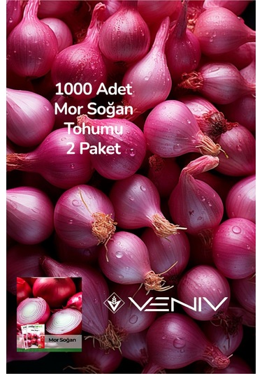 1000 Adet Mor Soğan Tohumu 2 Paket