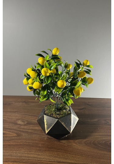 Eskitme Boyalı Geometrik Beton Saksıda Limon Ağacı 35cm Sarı-siyah