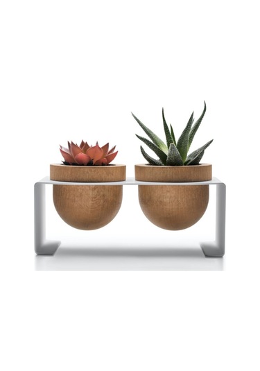 Halohope Metal Stantlı 2'li Skulent Saksısı Beyaz Saksılık