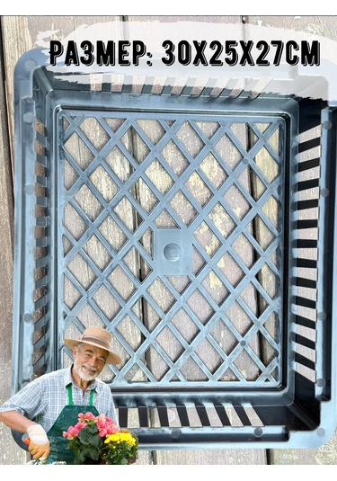 Domdacaogorod Soğanlı Bitkiler Ve Kelebek Yetiştirme Sepeti 263098583