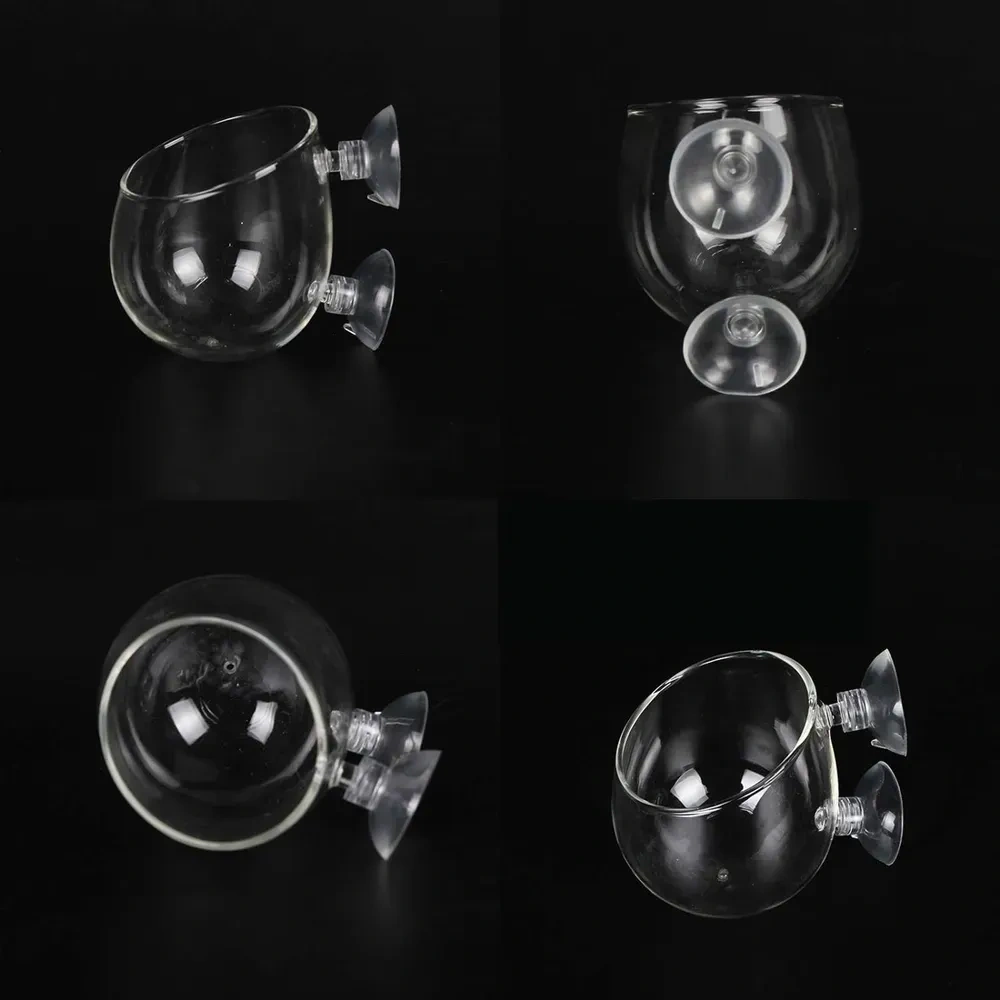 Kosona Akvaryum Cam Bitki Süs Tepsisi, Su Bitkileri İçin Güneş Işığı Alımı Ve Su Kalitesi İyileştirici, Sürekli Emiciyle Sabitlenir