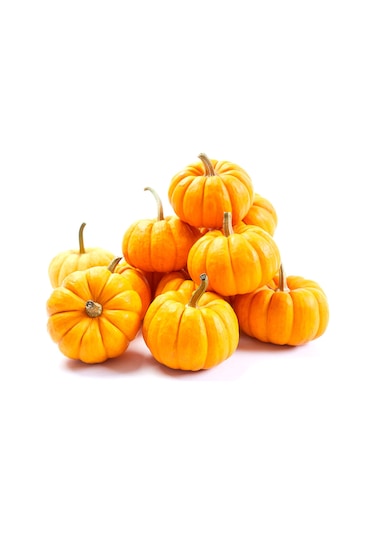 Minyatür Sarı Süs Bal Kabağı Tohumu 10 Adet