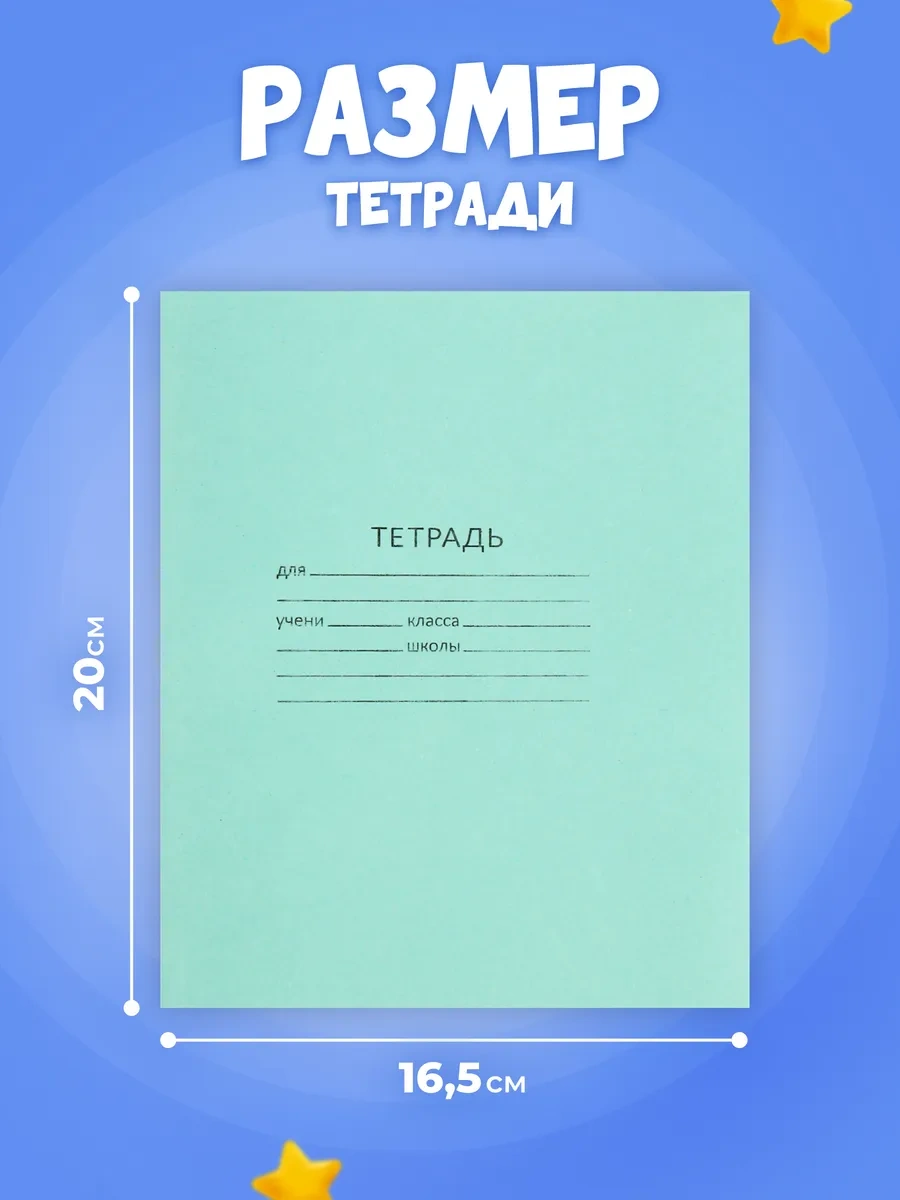 Calligrata 12 Yapraklı Kareli Genel Defter Seti 74020567