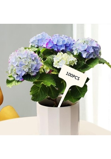 Trendooze Homyl 50 Adet T-şekilli Bitki Etiketi, Saksı Ekici