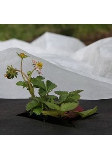 Neevoyu Bitki Isı Koruyucu Örtü 1.5x10m: Biyobozunur Dokuma, Don Ve Frosta Karşı, Isı Tutar, Yeniden Kullanılabilir, Bahçe/farmda Kullanım