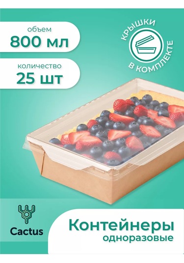 Cactus Tek Kullanımlık Trifle Kutuları, 800 Ml Gıda Kapları 224868223 100 adet