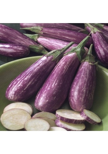 100 Adet Tohum Nadir Çizgili Uzun Yalova Kemer Patlıcan Tohumu Saksı Toprak Hediyeli