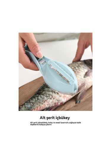 Manuel Balık Pulu Planya Ev Balık Pulu Kazıyıcı Artefakt Mavi