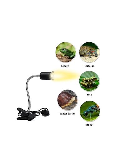 Agoodshop 75w Sürüngen Isı Lambası Kaplumbağa Isı Lambası Lamba Isıtıcı