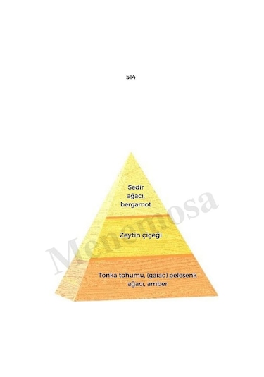 Bargello 514 254 Erkek/kadın Parfüm EDP 50 ML Oriental/floral - Mnms505142 Baharat