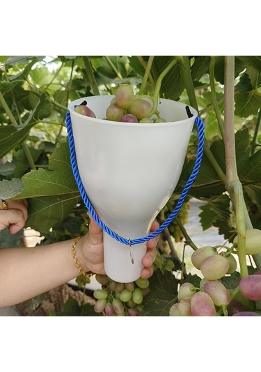 Pazly Yetiştirme Üzüm Suntek Premium Meyve Kabı Islatma & Bakım Lj