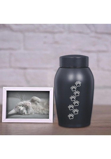 Homyl Paslanmaz Çelik Pet Urn Kremasyon 60 Lbs'ye Kadar Stil-c Altın