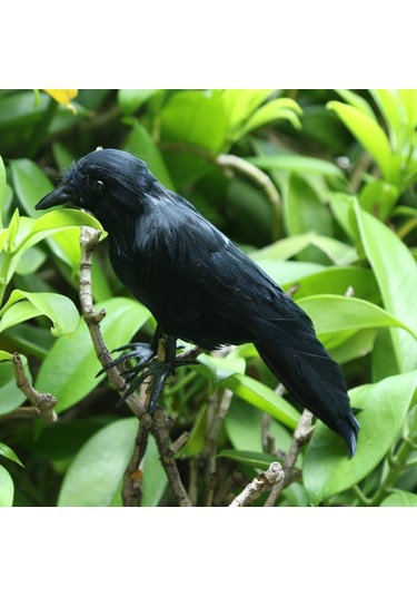 Homyl Sahte Yapay Karga Kuş Tüylü Gerçekçi Bahçe Ev Dekor Süsleme