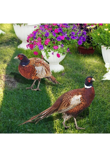 Suntek Sülün Heykelcik Hediyeler Çiftlik Veranda Açık Ab