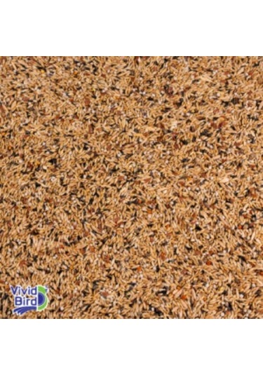 Tnt Shop T-bird Karışık Kanarya Yemi 1 Kg