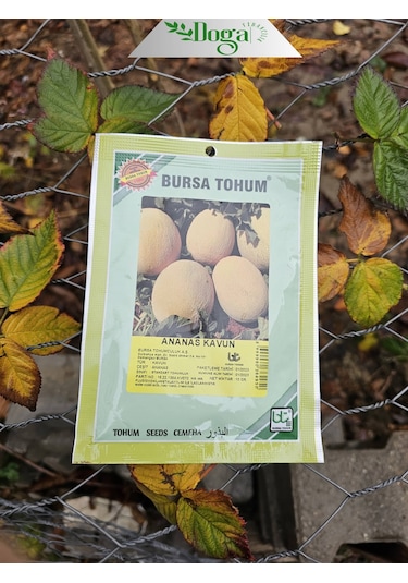 Yerli Ananas Kavun Tohumu