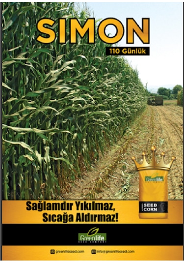Mısır Tohumu Sımon 110 Günlük