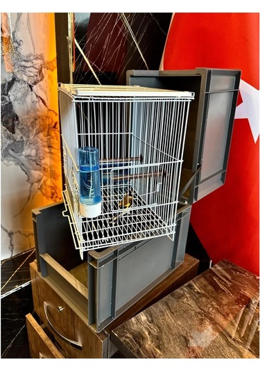 Ceritoğlu Kapaklı Kuş Taşıma Ve Ötüm Kafesi-dekoratif
