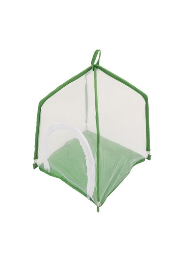 Youmex Görsel Geliştirici Böcek Gözlem Kafesi - İnce Ağızlı, İki Zıplayıcı Kapı, Transparan, Mantarlar, Kelebekler Ve Süs Bitkileri İçin Uygun