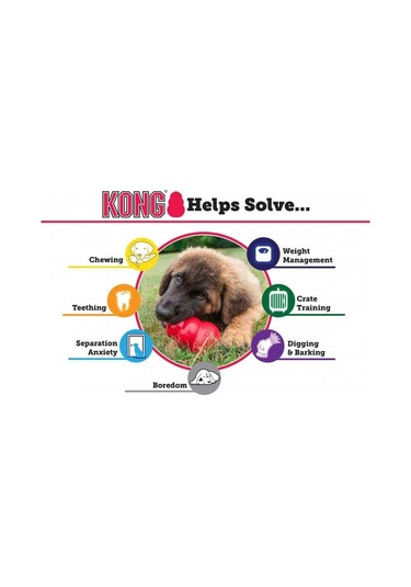 Kong Classic Köpekler İçin Isırma Oyuncağı M