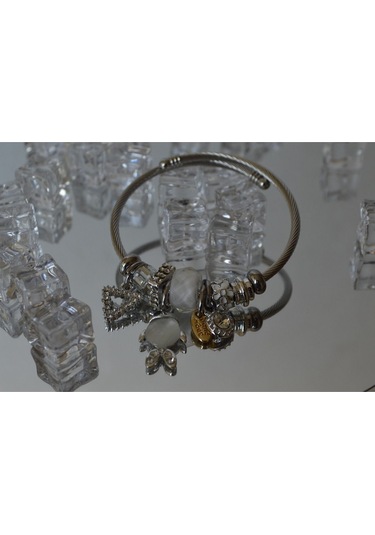 Uzel Çelik Gümüş Silver Model Taşlı, Balık Charmlı Çelik Bileklik Beyaz